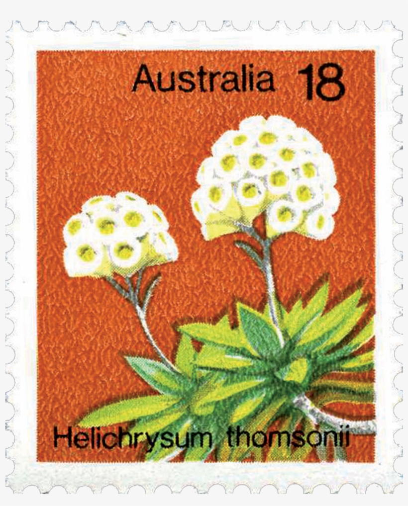 Australian Postage Stamps 18c White Flower, transparent png