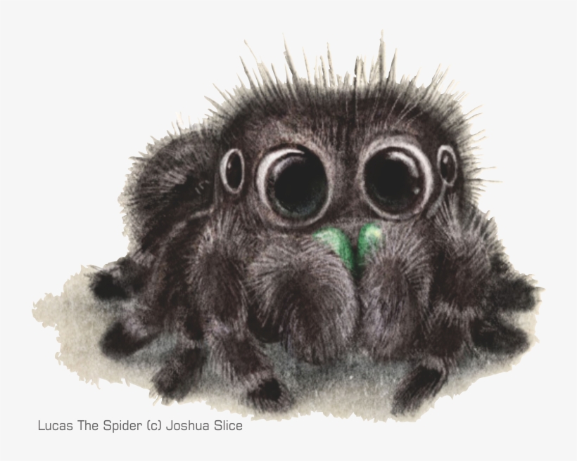 Informasi Seputar Tarantula Dan Kalajengking - Cute Spiders To Draw, transparent png