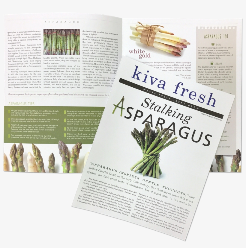 Stalking Asparagus - Vegetables, transparent png
