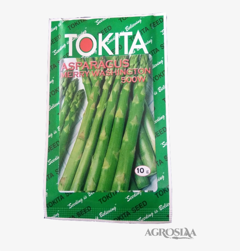 Tokita - Asparagus, transparent png