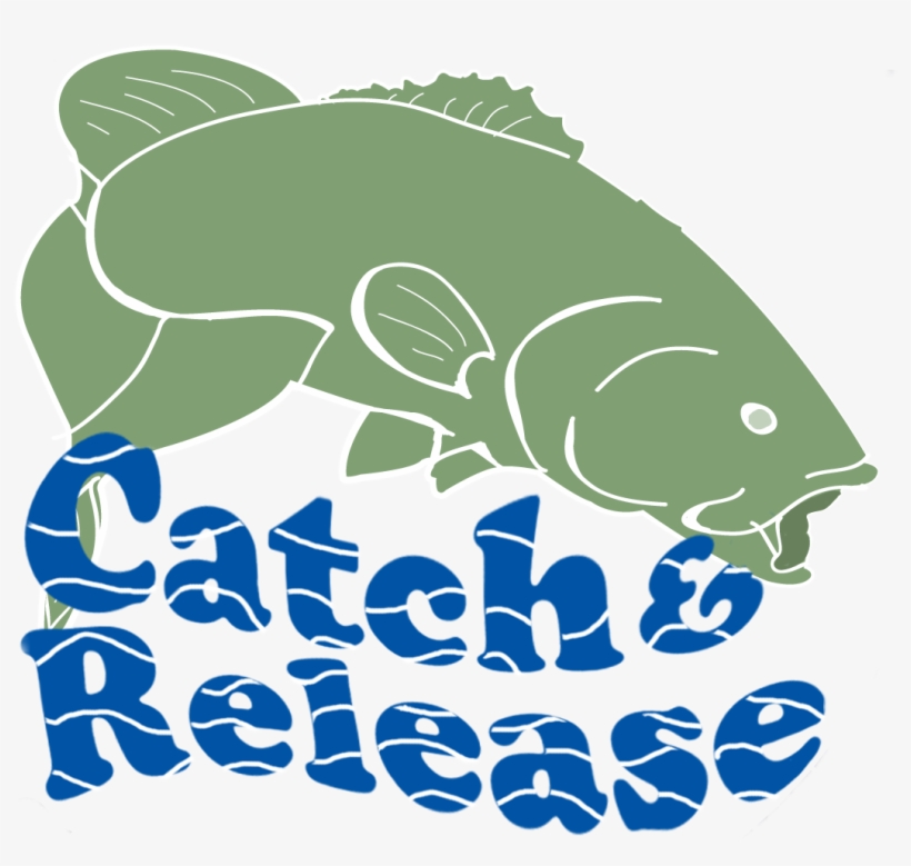 Because A Bass Is Too Valuable To Catch Only Once - Catch And Release, transparent png