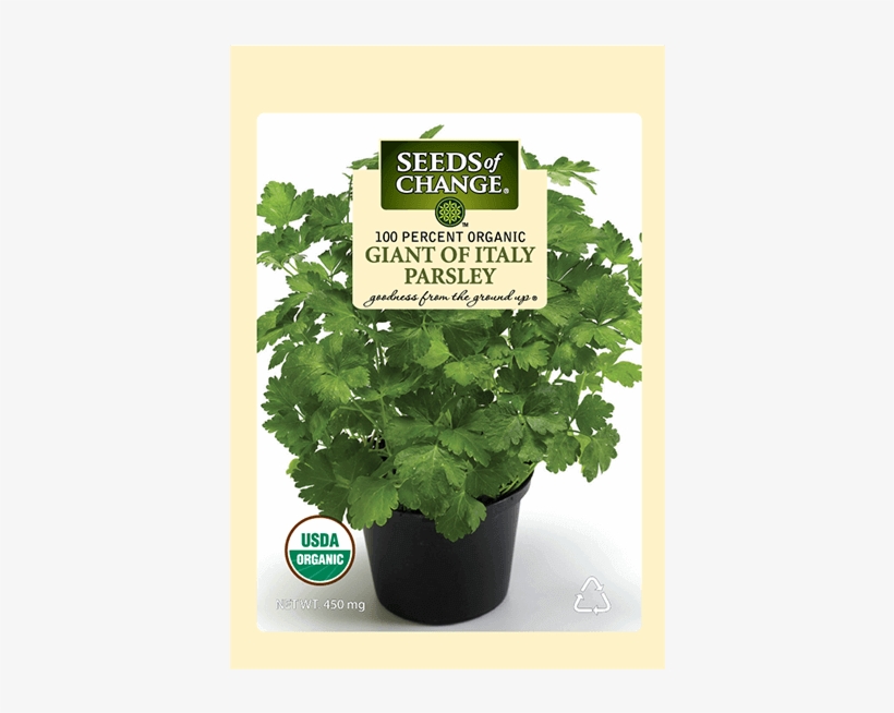 Organic Giant Of Italy Parsley Seeds - Usda Organic, transparent png