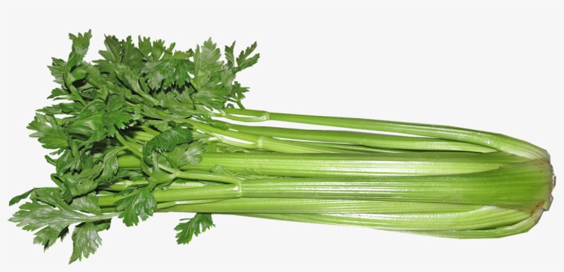 Celery, Certified Organic, Large Bunch - Selderij Png, transparent png