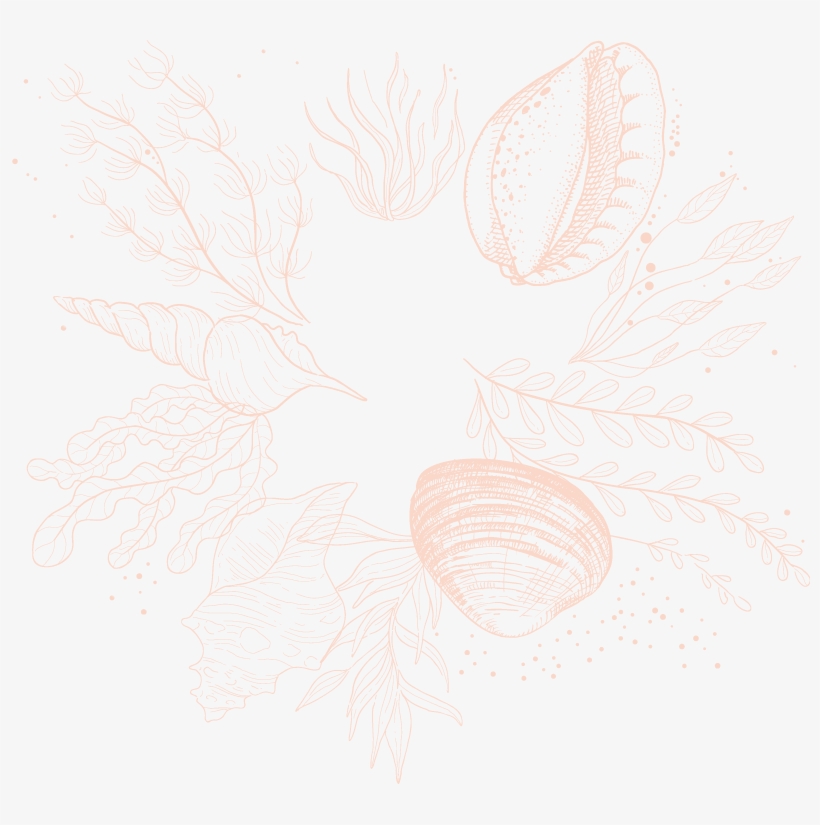 Sketch, transparent png
