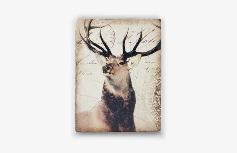 King Of The Forest - Elk, transparent png