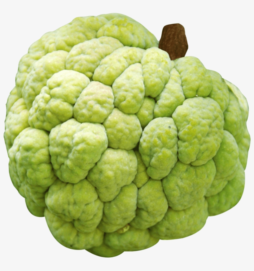 Download Custard Apple Png Image - Custard Apple, transparent png