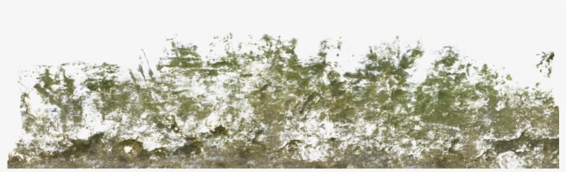Decalbottom0017 1 S Decalbottom0018 1 S Decalbottom0022 - Transparent Moss Png, transparent png