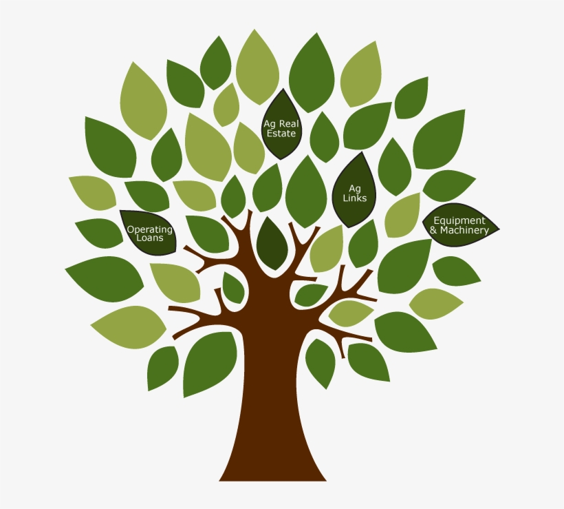 Transparent Plant Agricultural - Green Color Day Activities, transparent png