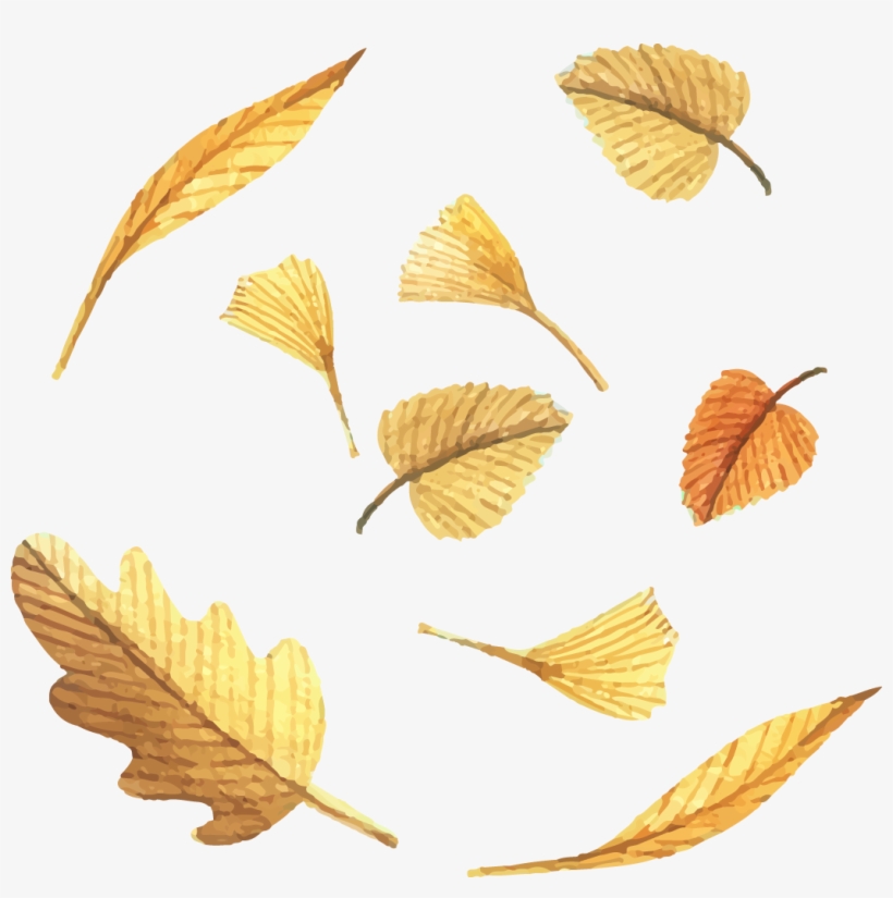 Jpg Royalty Free Stock Leaf Euclidean Painted Golden - Golden Leaf Vector, transparent png