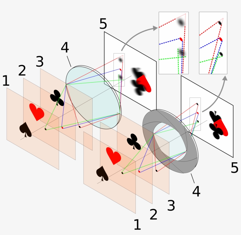 File By Wikipedia User Chabacano, Licensed Cc By Sa - Diaphragm, transparent png