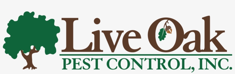 Live Oak Pest Control - Pest Control, transparent png