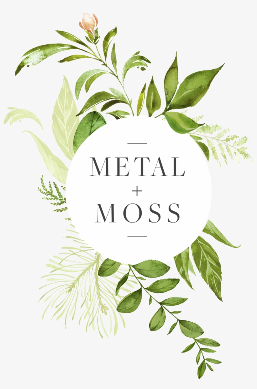 Hanging Moss Png, transparent png