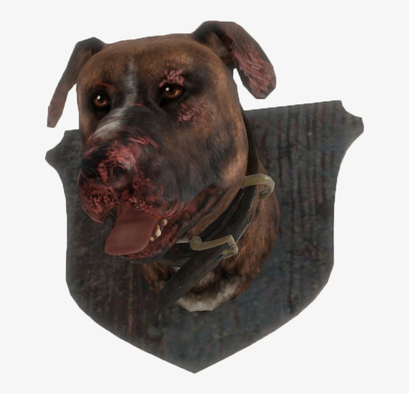 Fo4 Mounted Dog Head - Dog, transparent png
