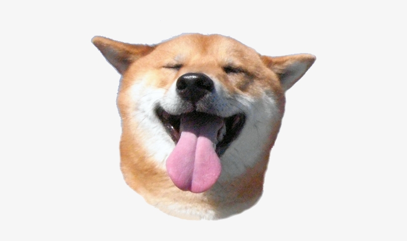 Kobosu Head Super Smile - Shibe Png, transparent png