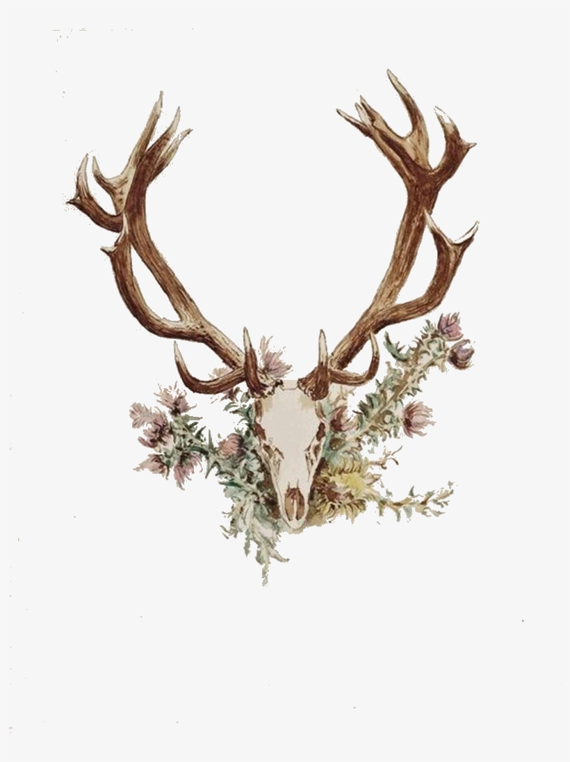 Deer Antler Png - Antlers And Flowers Tattoo, transparent png