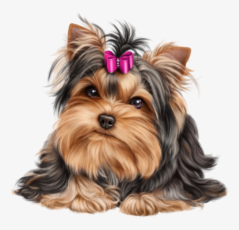 Cliparts For Free Download And Use - Yorkshire Terrier, transparent png