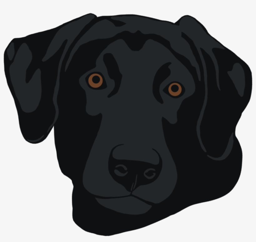 Black Lab Head - Black Lab Head Png, transparent png