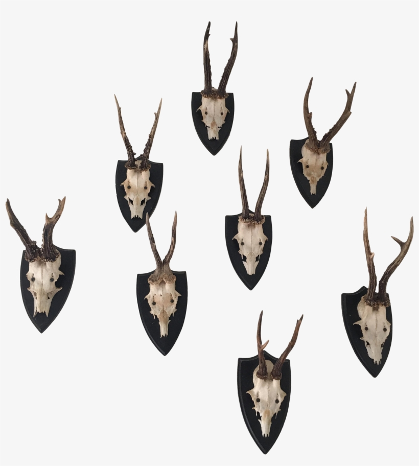 Deer Antler Png Graphic Black And White - Deer, transparent png