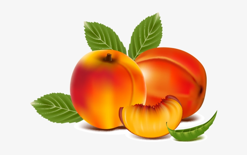 Jpg Library Library Juice Peach Transprent Png Free - Peach Fruit Clipart, transparent png