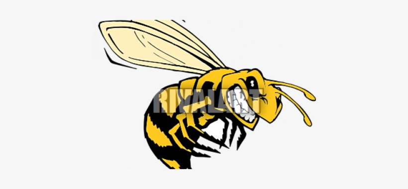 Hornet Clipart Killer Bee - Killer Bee Clipart, transparent png