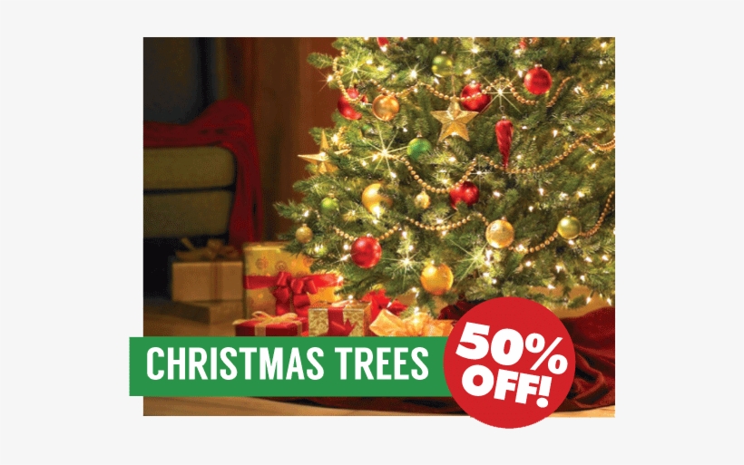 Of Christmas Decorating - Fenix Pictures Magic Of Christmas Ii, transparent png
