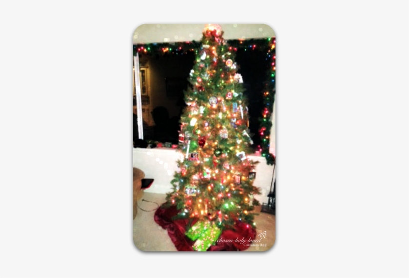 Picture - Christmas Tree, transparent png