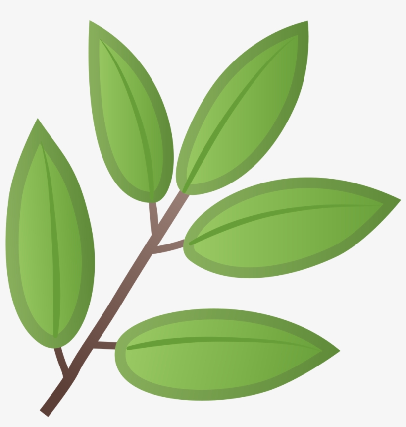 Herb Icon - Emoji Feuille, transparent png
