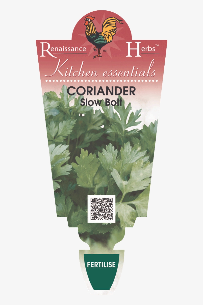 Related Recipes - Coriander, transparent png