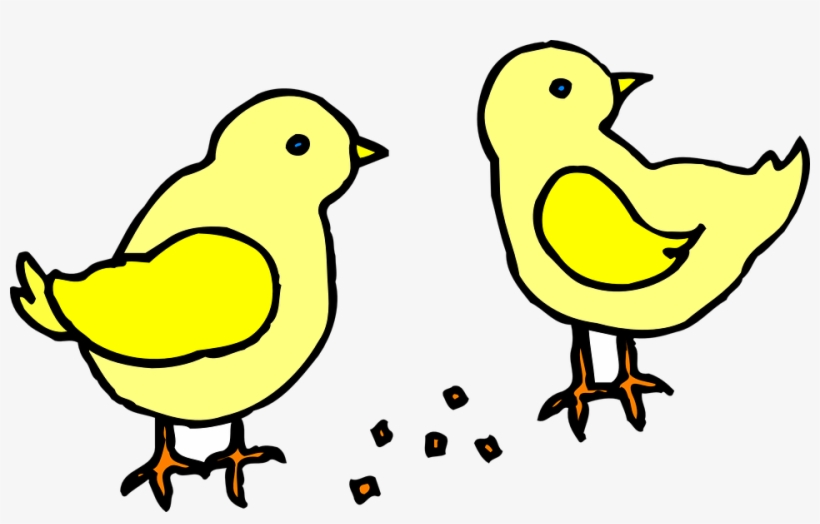 Chicks With Feed Clip Art At Clker - Chicks Pictures Clip Art, transparent png