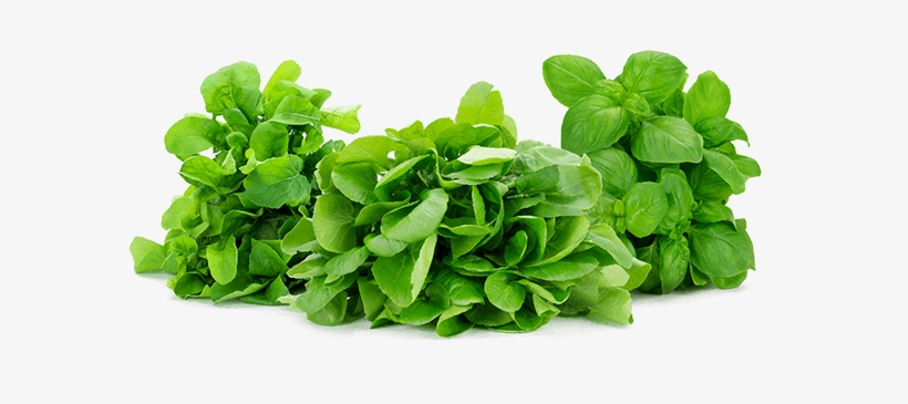 Naked Leaf Herbs Loose Product Shot - Mucci Farms Ltd., transparent png