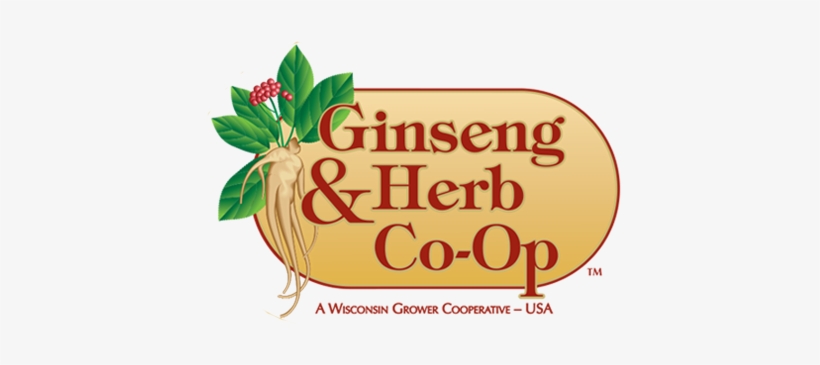 Ginseng, transparent png