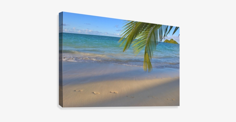 Hawaii, Oahu, Footprints In The Sand At Lanikai Beach - Great Big Canvas Tomas Del Amo Premium Thick-wrap Canvas, transparent png
