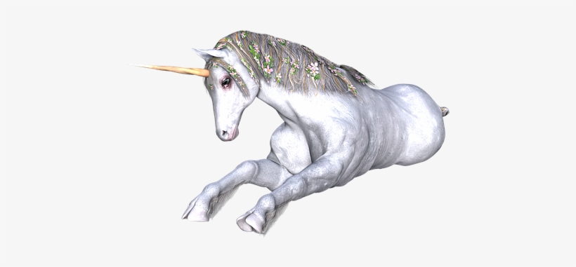 Unicorn, Fantasy, Fairy, Tale, White - Unicorn, transparent png