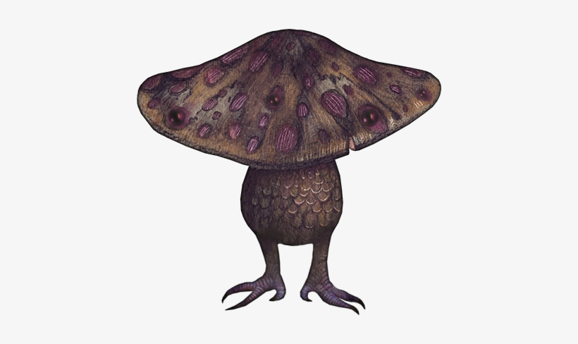 Illustrations - Insect, transparent png
