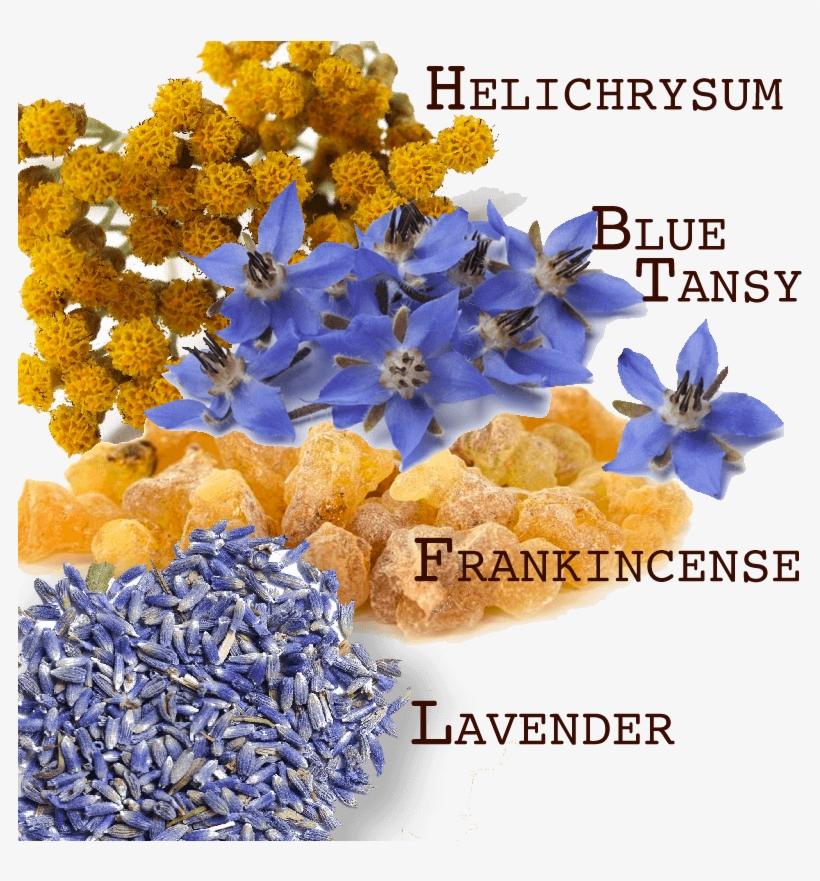 Bruise Blend Essential Oils - Isabella's Clearly Soft Sensitive, 2 Oz. Gentle Face, transparent png