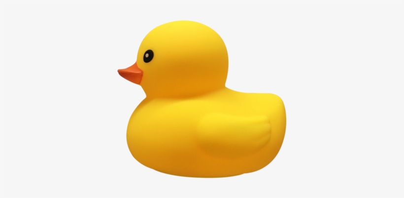 Promotional Logo Rubber Duck - Rubber Duck, transparent png