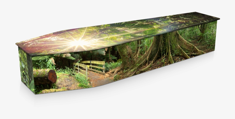 Expression Cofins - Rainforest, transparent png