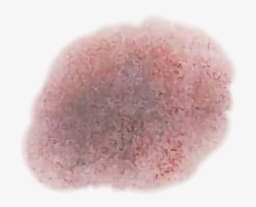 Eye Shadow, transparent png