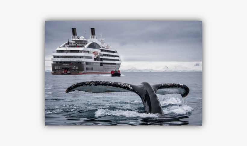 Videoflow Maritime Cruise - Cruise Ship Antarctica, transparent png