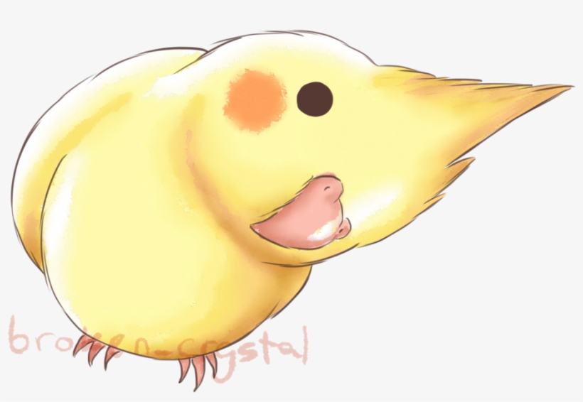 Plans For Billy - Duck, transparent png