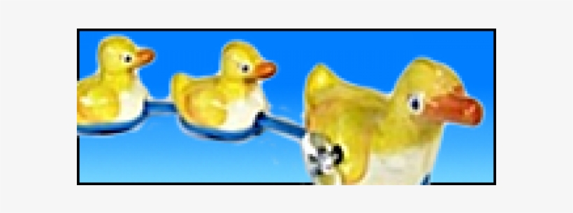 Duck, transparent png