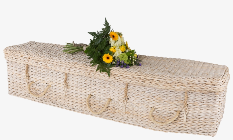 Prev - Bird Of Paradise, transparent png