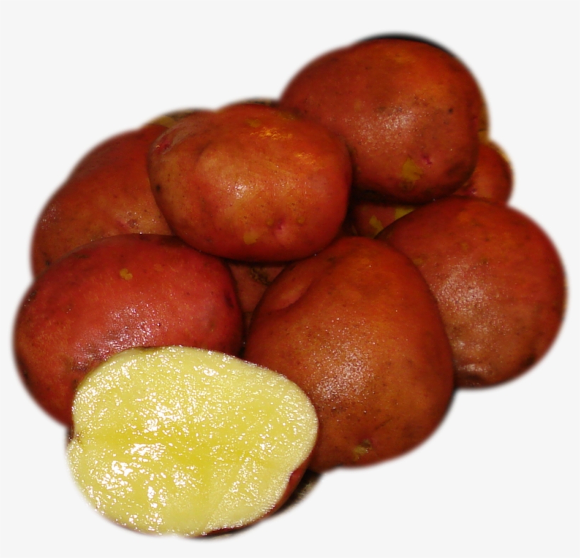 Jocote, transparent png