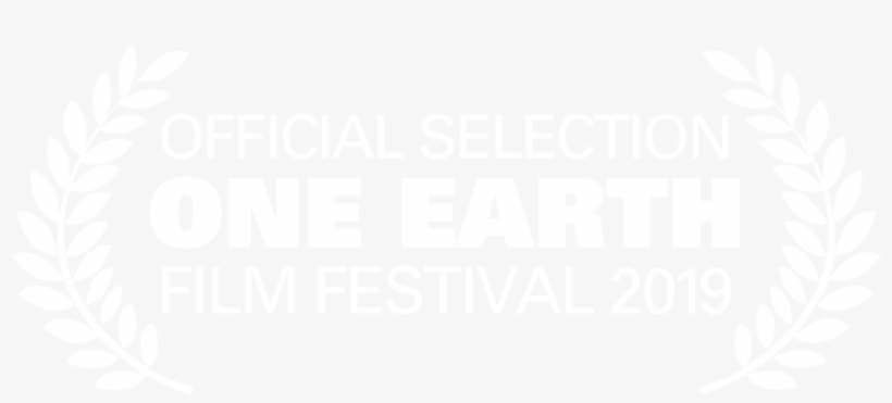 Follow Us On Instagram - Buffalo Niagara Film Festival, transparent png
