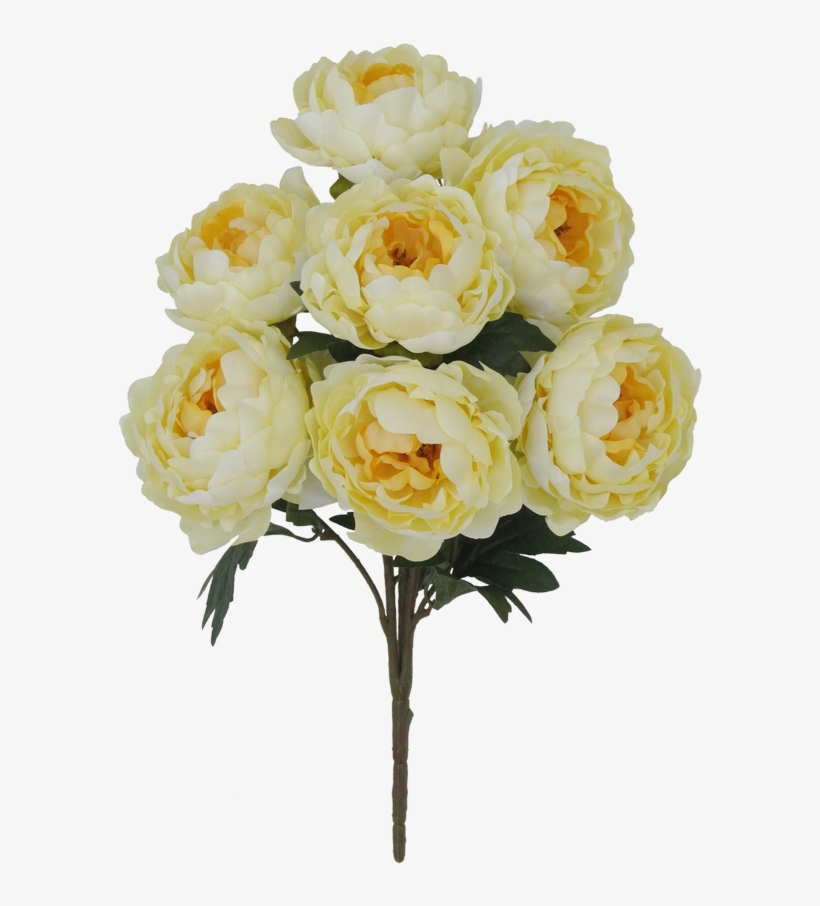 Floribunda, transparent png