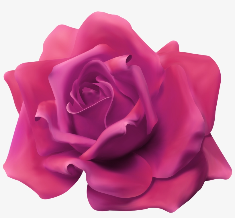 Beautiful Rose Pink Transparent Image Gallery Yopriceville, transparent png