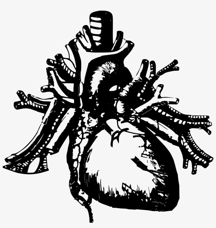 Download Png - Black And White Human Heart Png, transparent png