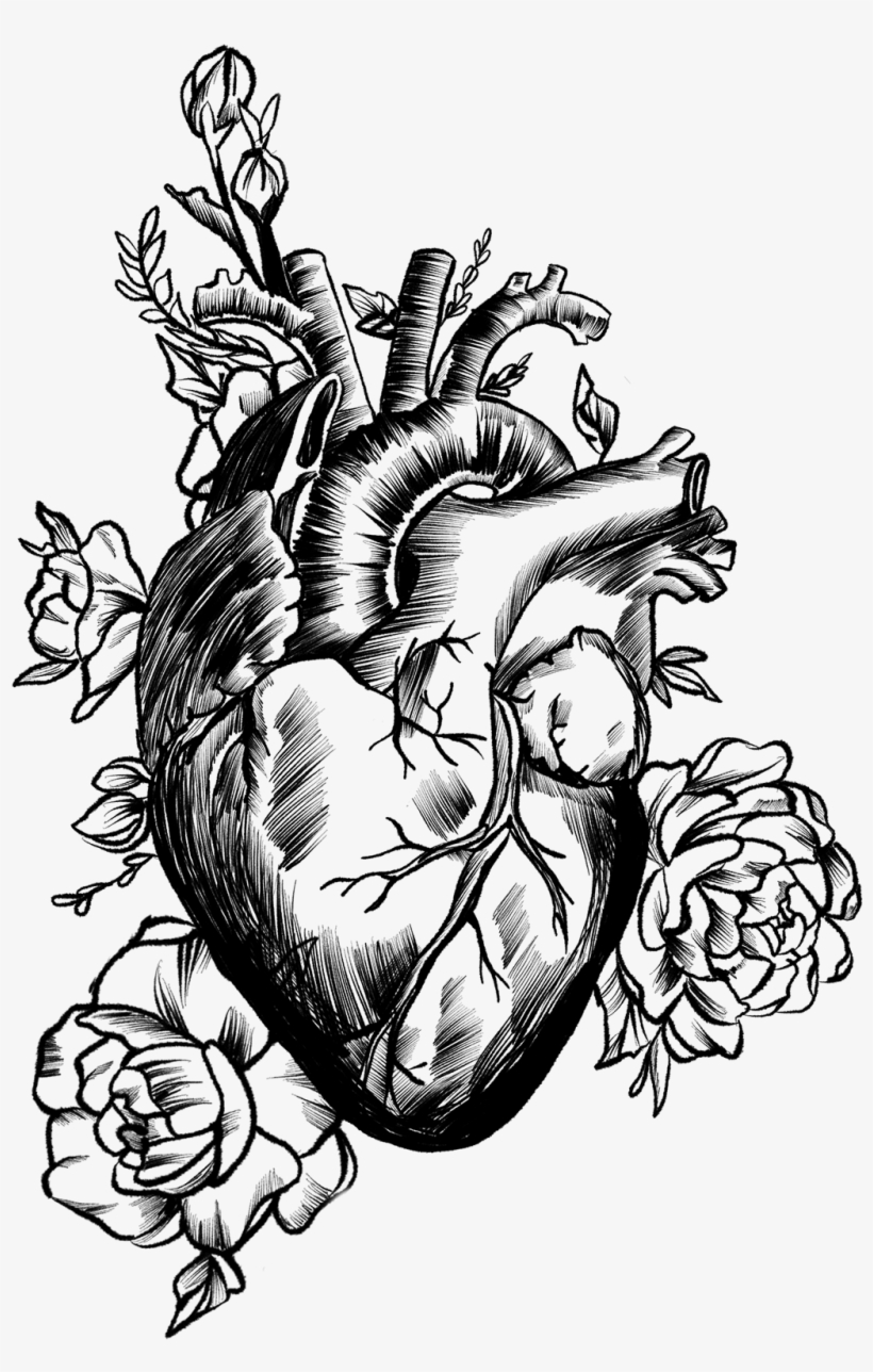 A Collection Of Anatomical Drawings Combined With Plants - Illustration, transparent png