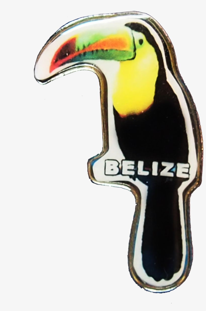 Toucan, transparent png