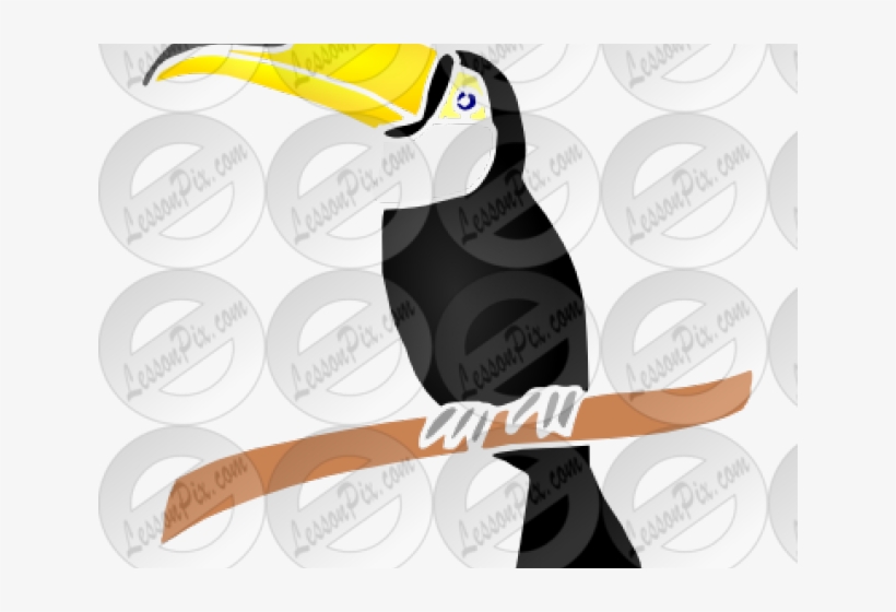 Toucan Clipart Toucan Bird - Toucan, transparent png